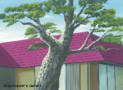 hot pink roof background