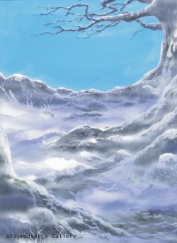 icy forest path background