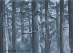 snowy cedars background