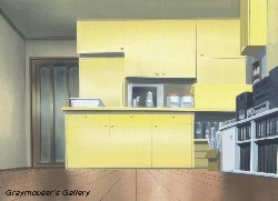 yellow kitchen far background
