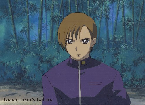 sempai cel