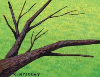 branch background