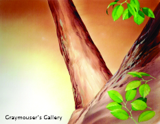 tree fork background