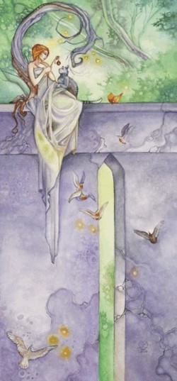 birds below