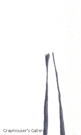 long foreground