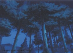 kotaro binds naoe background