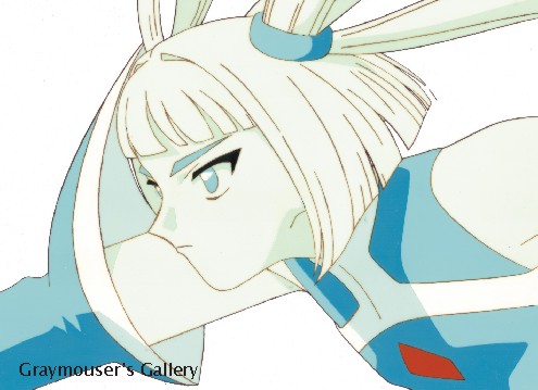 fight proflie cel