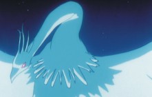 small fly screencap