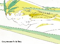 thumbnail link to windy