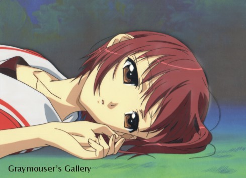 wiz cel