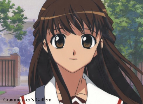 risa cel