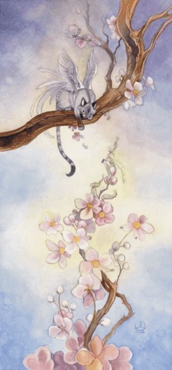 sakura blossoms