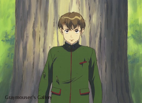seino cel