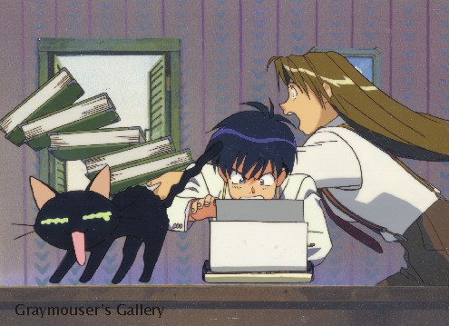 insurance girls cel