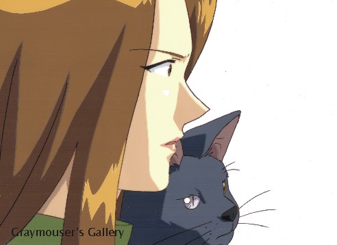 shinma han-ki cel