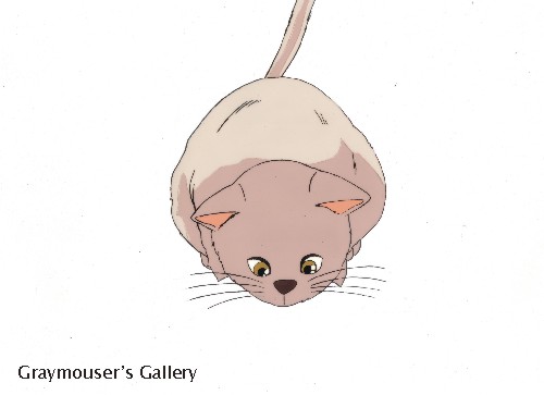 unknown cat cel