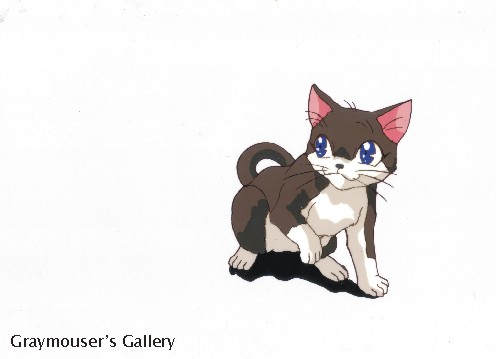wary kitty cel