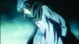 small profile seimei screencap