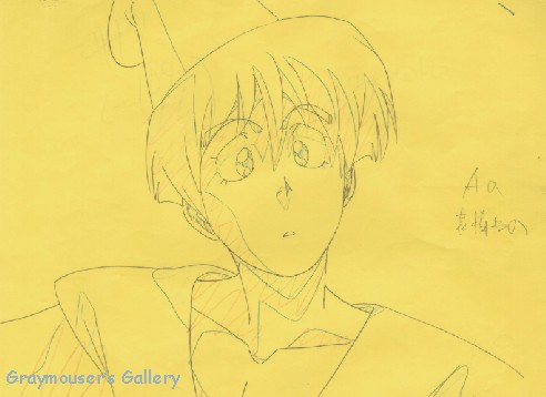 tylor sketch