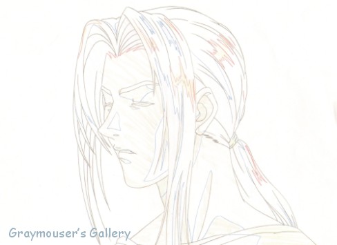 shin sketch