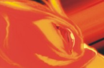 small first blasting suzaku screencap