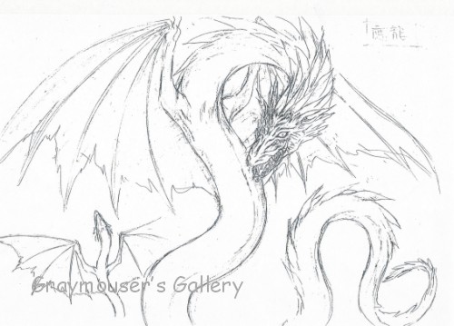 dragon sketch