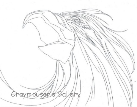 forth suzaku appears image